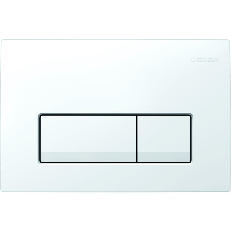 Placa de accionamiento Delta51 para la limpieza de 2 volúmenes, color: blanco-alpino - 115.105.11.1 - Geberit