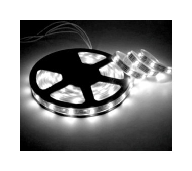 Tira LED 12V 4,8W/m 60LED/m 3000K IP65 5m