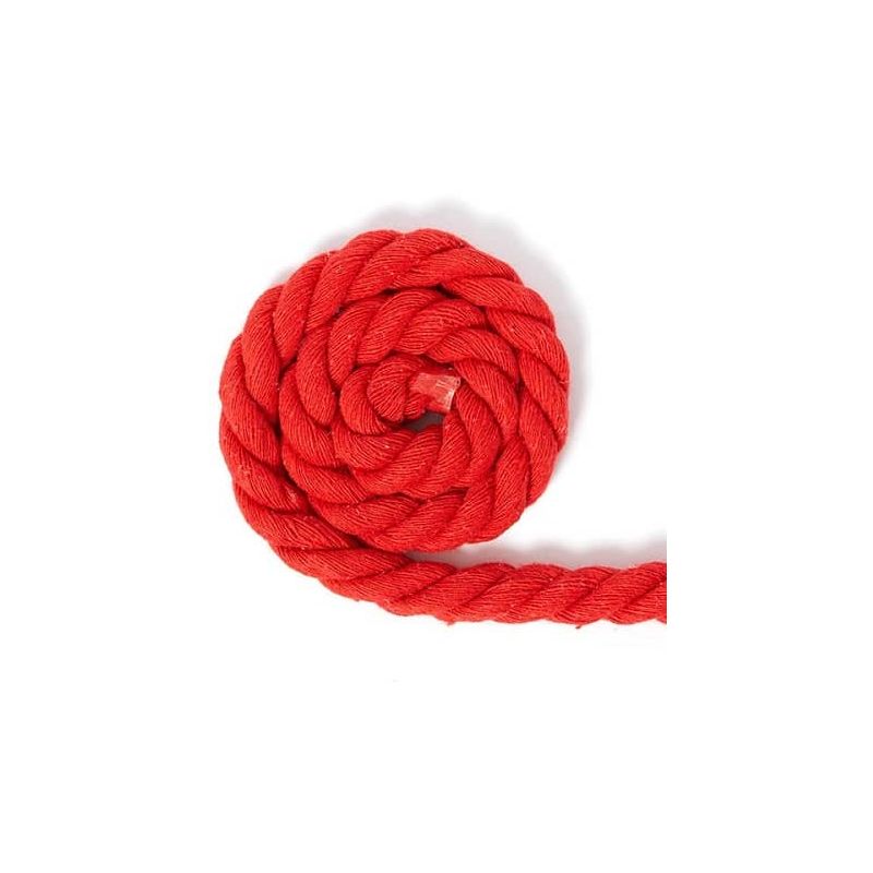 Cuerda nylon resistente al desgarro 100 m 10 mm Rojo - EMHOME