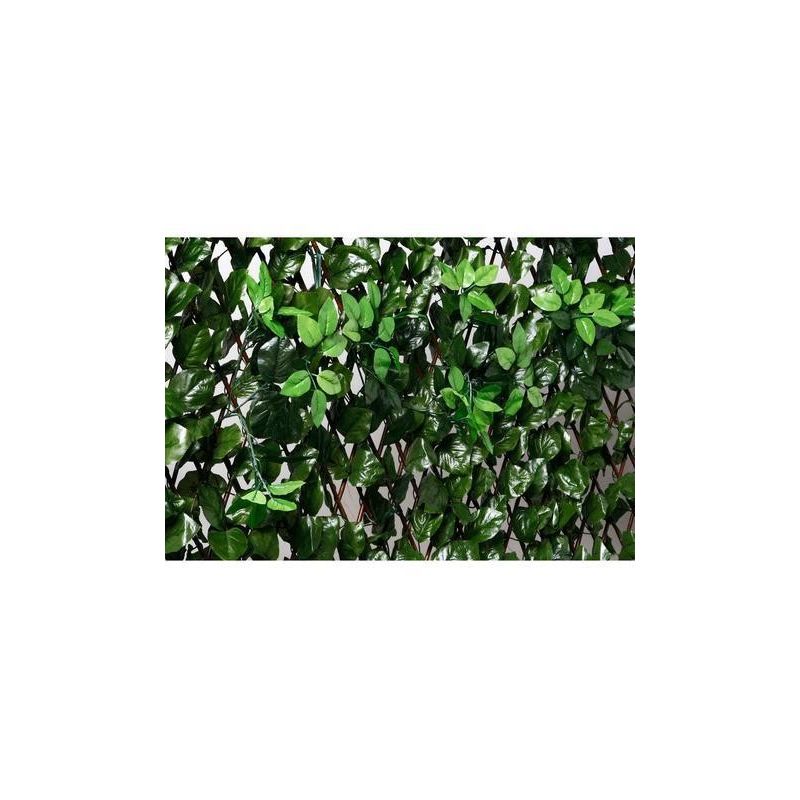 Celosia Extensible Mimbre con hojas y brotes - Mugar