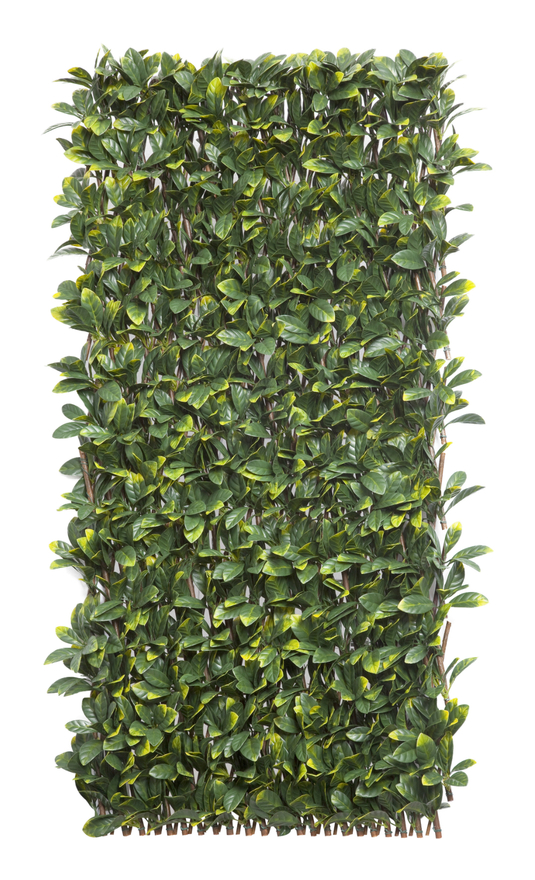 Celosía extensible mimbre natural y hojas laurel 1x3m Nortene WILLGREEN