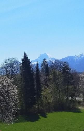 Ofertas en Ferienwohnung in Kärnten (Apartamento), Villach (Austria)