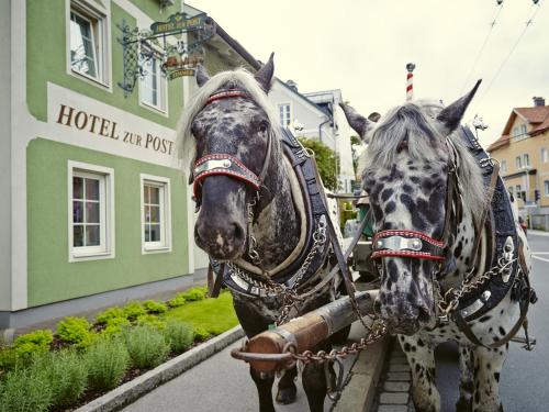 Ofertas en Holiday Apartments by Das Grüne Hotel zur Post - 100 % BIO & Villa Ceconi (Apartamento), Salzburgo (Austria)