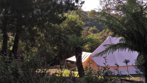 Ofertas en el Glamping at Zeehan Bush Camp (Tented camp) (Australia)