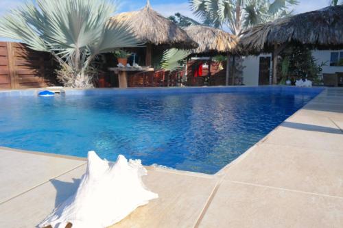 Ofertas en My Own Paradise Resort Bonaire (Apartamento), Kralendijk (Caribe Neerlandés)