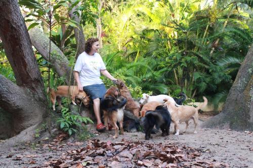 Ofertas en Nature Retreat with Healing Dogs in Brazil (Lodge), Arembepe (Brasil)