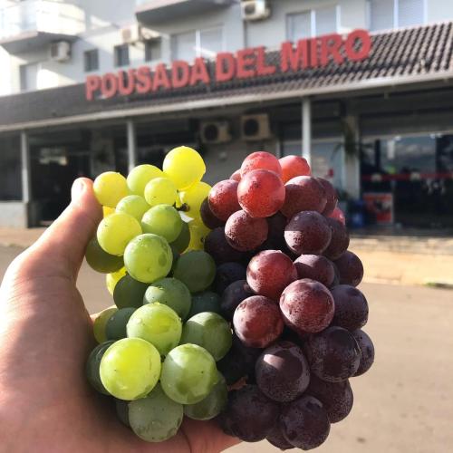 Ofertas en Pousada e Restaurante Del Miro (Hostal o pensión), Nova Pádua (Brasil)