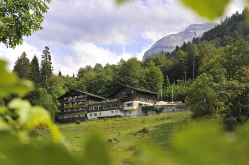Ofertas en Hotel-Restaurant Bänklialp (Hotel), Engelberg (Suiza)