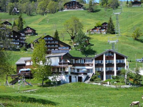 Ofertas en Hotel Restaurant Cristal (Hotel), Braunwald (Suiza)