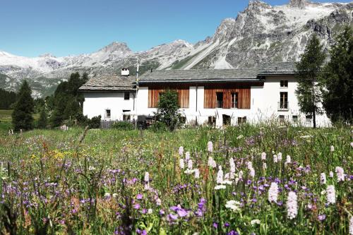 Ofertas en Pensiun Chesa Pool (Hotel), Sils-Maria (Suiza)