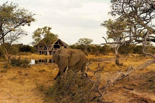 Ofertas en South Okavango | Omogolo Bush Lodges (Casa o chalet), Rammu (Botsuana)