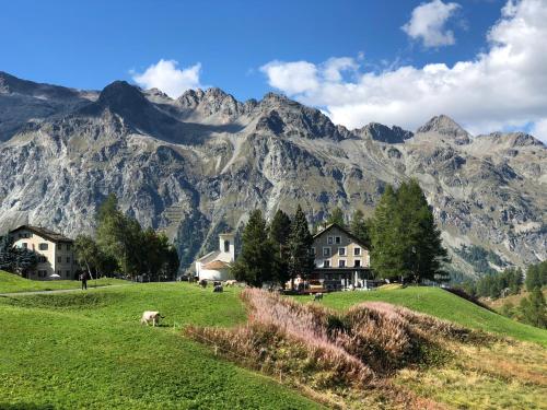 Ofertas en Hotel Sonne Fex Alpine Hideaway (Hotel), Sils-Maria (Suiza)