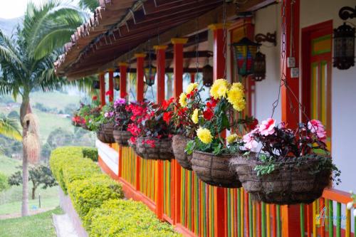 Ofertas en Aroma De Campo (Posada u hostería), Jericó (Colombia)