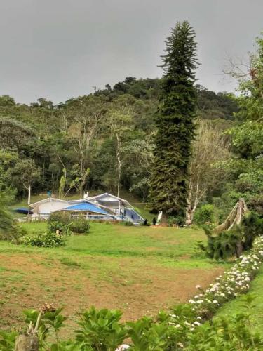 Ofertas en Finca las Águilas 1 (Casa o chalet), Dapa (Colombia)