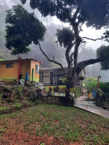 Ofertas en Finca Peñitas (Casa o chalet), Boquerón de Capira (Colombia)