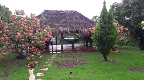 Ofertas en Finca Sunshine Garden Santa Marta (Posada u hostería), Bonda (Colombia)