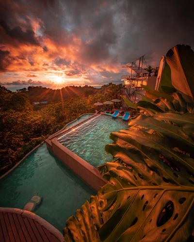 Ofertas en Gaia Hotel & Reserve- Adults Only (Hotel), Manuel Antonio (Costa Rica)