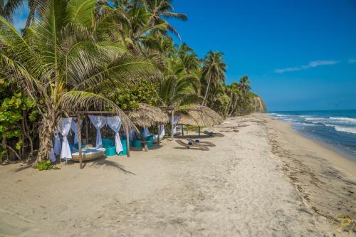 Ofertas en Playa la Roca Ecohotel (Resort), Palomino (Colombia)