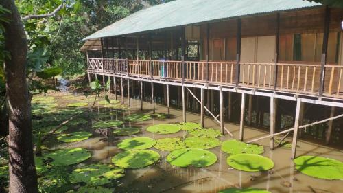 Ofertas en YourTravel Selva Amazonas (Lodge), Leticia (Colombia)