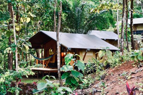 Ofertas en El Pulpo Safari Lodge (Lodge), Ojochal (Costa Rica)