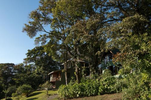 Ofertas en Hotel Flor de Bromelia (Hotel), Monteverde (Costa Rica)