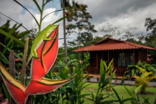 Ofertas en Hotel Rancho Cerro Azul (Hotel), Fortuna (Costa Rica)