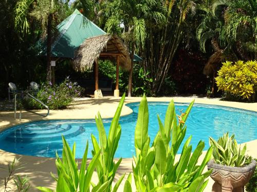 Ofertas en Indigo Yoga Surf Resort (Hotel), Mal País (Costa Rica)