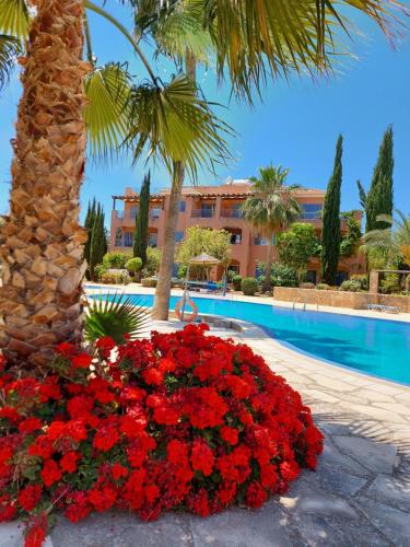 Ofertas en Mandria garden resort,pools-garden-beach 3 in One! (Apartamento), Paphos (Chipre)
