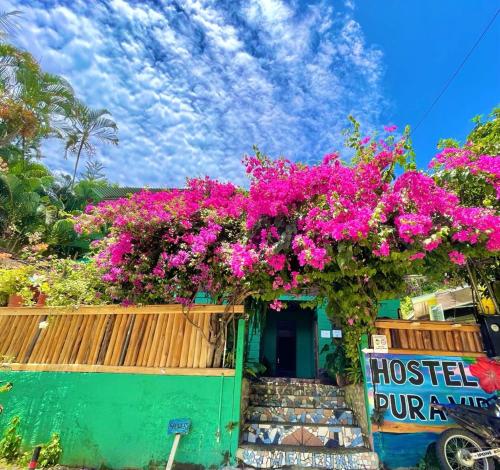 Ofertas en Pura Vida Hostel (Hostal o pensión), Montezuma (Costa Rica)