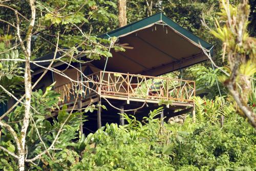 Ofertas en Rafiki Safari Lodge (Lodge), Savegre (Costa Rica)