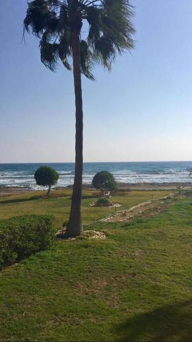 Ofertas en Sandy Beach Villas 21 (Apartamento), Pyla (Chipre)