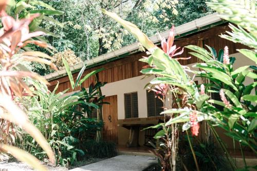 Ofertas en Star Mountain Jungle Lodge (Bed & breakfast), Mal País (Costa Rica)