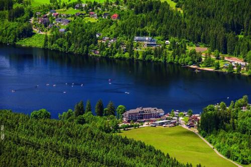 Ofertas en Maritim Titisee Hotel (Hotel), Titisee-Neustadt (Alemania)