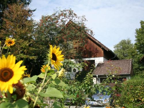 Ofertas en el Cozy Apartment in Moos near Lake Constance (Apartamento) (Alemania)