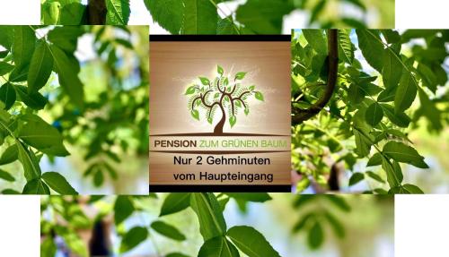 Ofertas en Europa Pension zum Grünen Baum (Hostal o pensión), Rust (Alemania)