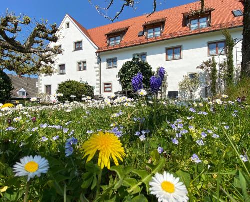 Ofertas en Hotel Montfort-Schlössle (Hotel), Lindau (Alemania)