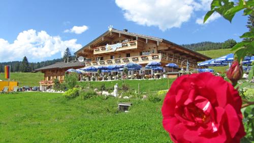 Ofertas en Winklmoos Sonnenalm (Hotel), Reit im Winkl (Alemania)