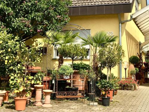 Ofertas en Casa Limone (Apartamento), Ammerbuch (Alemania)