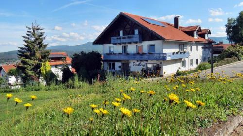 Ofertas en Gästehaus am Goldberg (Hostal o pensión), Riedlhütte (Alemania)