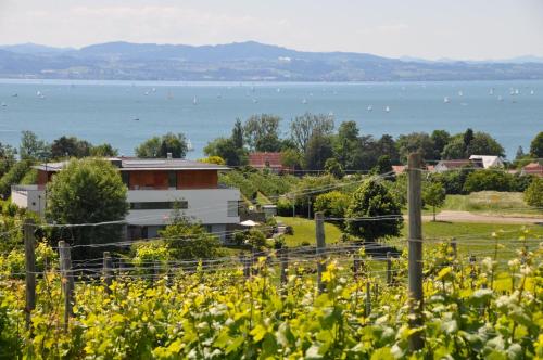 Ofertas en Ferienwohnung Weinbergblick (Apartamento), Kressbronn am Bodensee (Alemania)