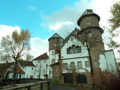 Ofertas en Ferienwohnung, Urlaub im Schloss neben Wildpark (Villa), Föckelberg (Alemania)