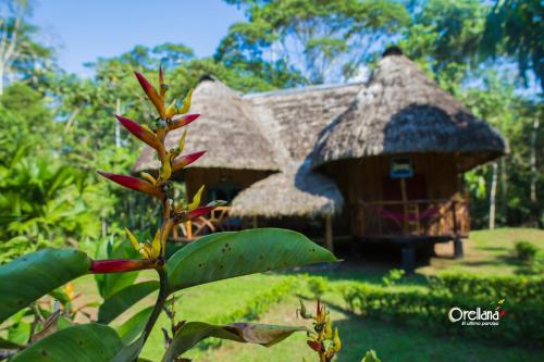 Ofertas en Amazon Lodge Indillama (Camping), Parque Nacional Yasuní (Ecuador)