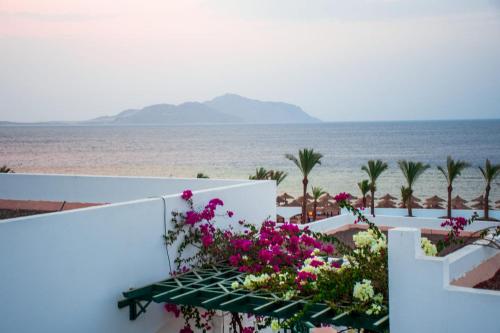 Ofertas en Coral Beach Resort Montazah (Ex. Rotana) (Resort), Sharm El Sheikh (Egipto)