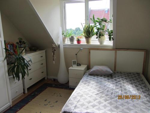 Ofertas en Cosy room in sydhavn (Habitación en casa particular), Copenhague (Dinamarca)
