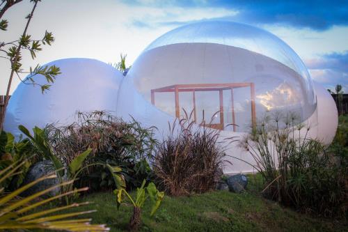 Ofertas en Green Land Bubble Glamping (Tented camp), Cabarete (Rep. Dominicana)