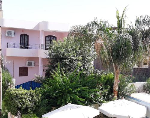 Ofertas en Isis Flats (Apartamento), Luxor (Egipto)