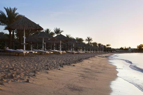 Ofertas en Sharm Dreams Resort (Resort), Sharm El Sheikh (Egipto)