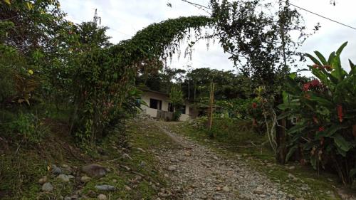 Ofertas en The House of the Peace TENA ECUADOR (Chalet de montaña), Tena (Ecuador)