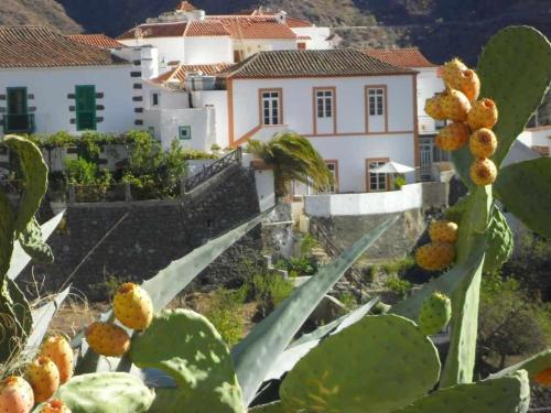 Ofertas en el Casa Rural Las Cáscaras Tejeda Gran Canaria (Casa o chalet) (España)
