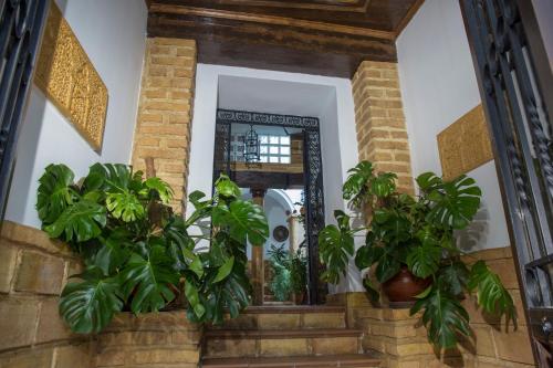 Ofertas en Casa Turística Patio Cordobes (Apartamento), Córdoba (España)